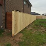 Standard Timber fence with Capping